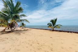 Oceanfront home w private beach, ocean view, kayaks, rooftop, WiFi & partial AC - Image 2