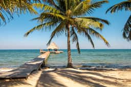 Oceanfront escape with shared, outdoor pool, free WiFi, & air conditioning - Image 5