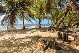 Tropical beachfront getaway with private pool, ocean views & enclosed yard - Image 4