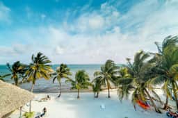 Caribe Island Studio | Pool & Beach Access - Image 4