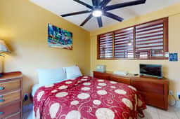 Peaceful dog-friendly condo w ocean view, shared pool, free WiFi & partial AC - Image 5