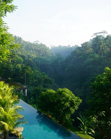 Infinity pool overlooking misty jungle valley