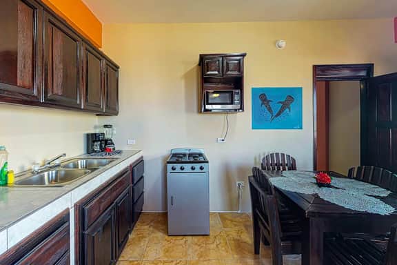 Apartment steps from the beach w amazing rooftop view - walk to town - Image 5