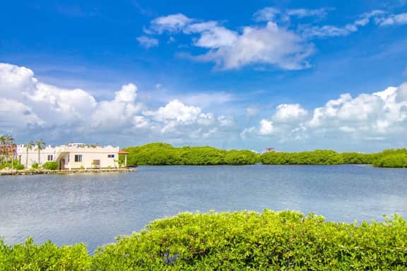 Lagoon-front suite w shared pool, ocean view, WiFi & central AC - near beaches - Image 3