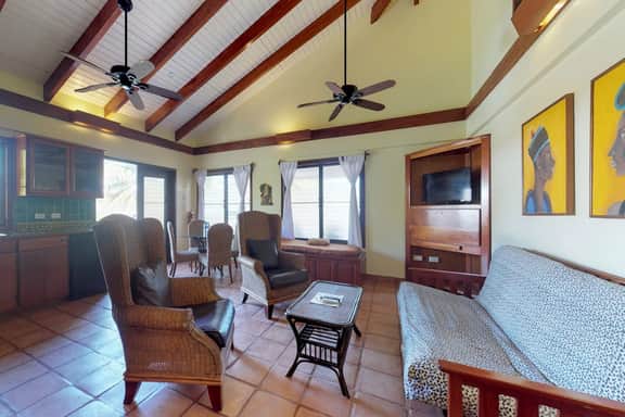 Oceanfront condo with shared pool, sea view, central AC & WiFi - walk to the beach - Image 4