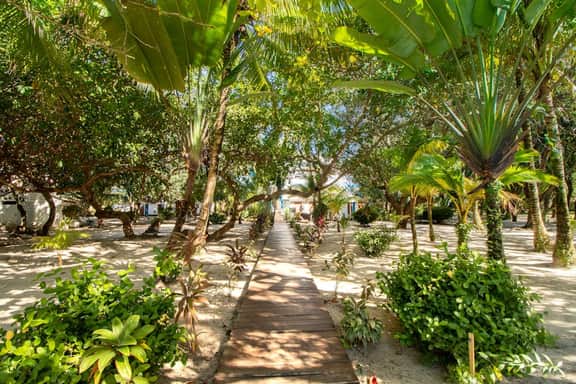 Tranquil ocean-view escape with shared pool, beach access, AC, & free wifi - Image 3