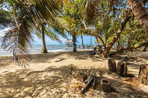 Tropical beachfront getaway with private pool, ocean views & enclosed yard - Image 4
