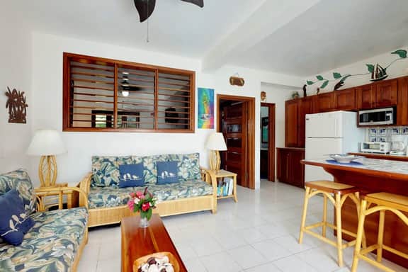 Oceanfront condo w shared pool, sea view, WiFi & partial AC - steps to beach - Image 4