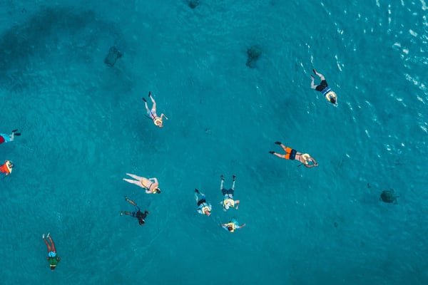 Aerial view of swimmers in turquoise Caribbean water