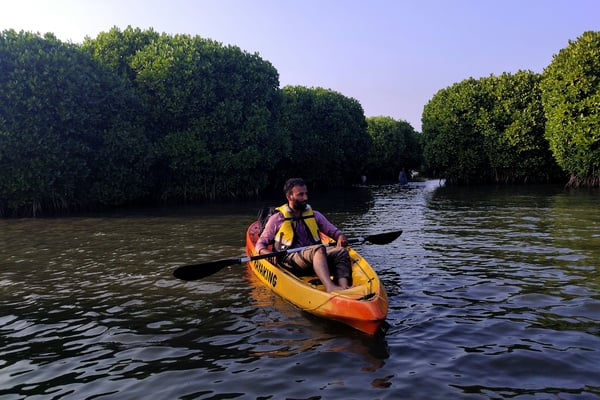 Kayaker paddling through a mangrove tunnel