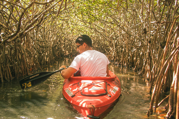 Monkey River